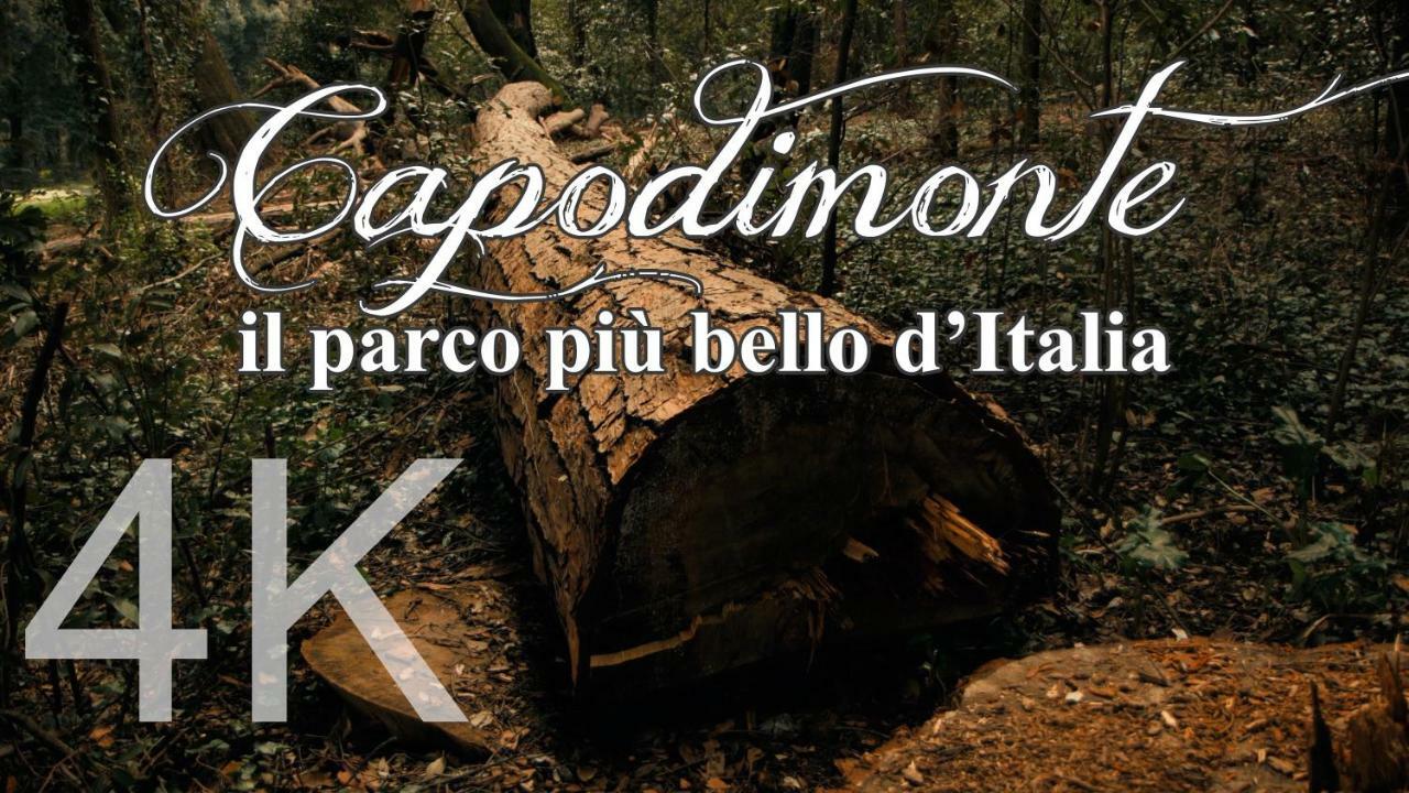 Alla Corte Del Re Dimora Storica Νάπολη Εξωτερικό φωτογραφία